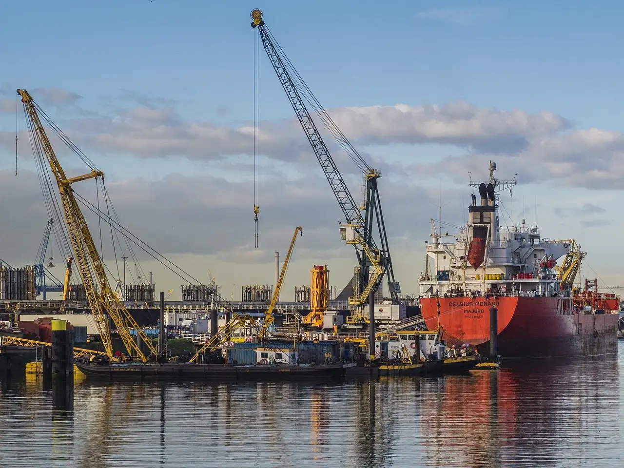 Duurzaam 010: Ontdek de groene initiatieven in Rotterdam