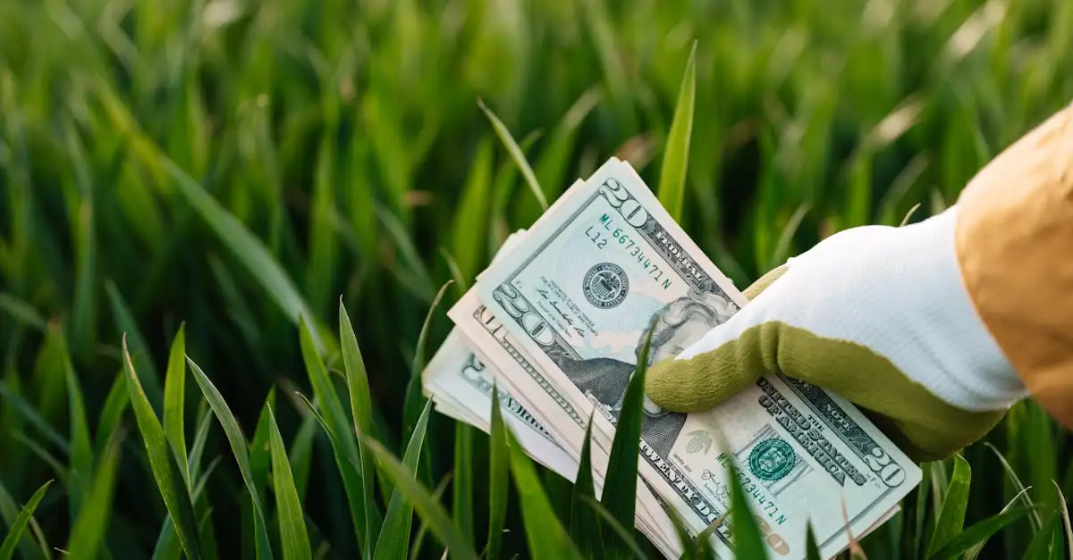 Economische duurzaamheid: groei en stabiliteit voor de