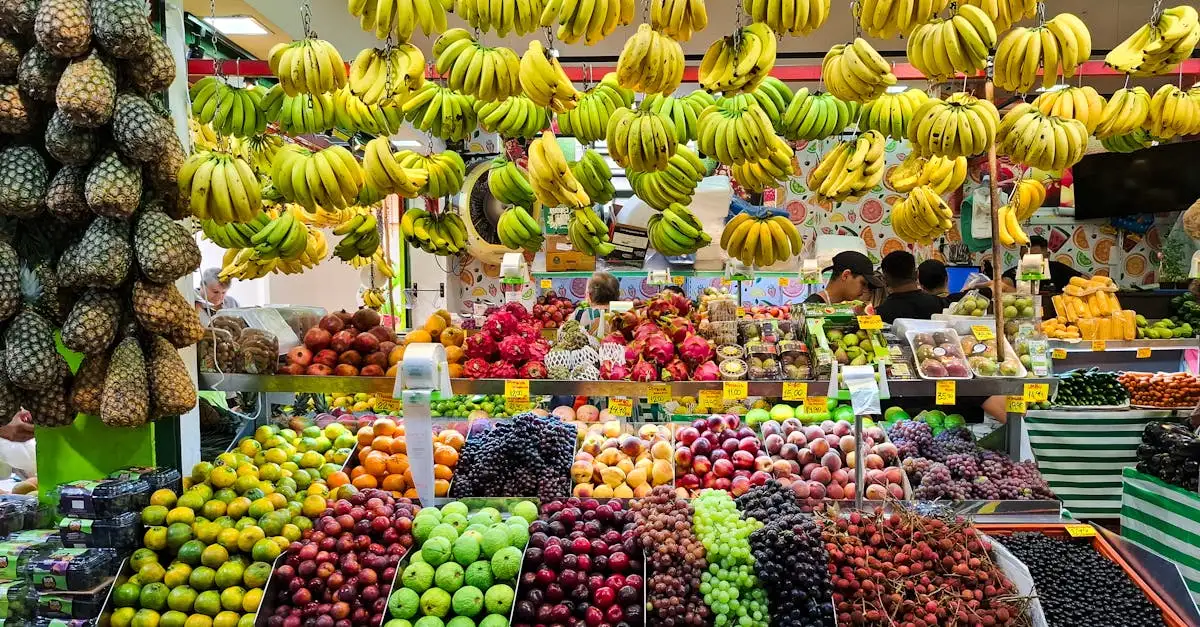 Focus op gezond ouder worden door voeding: de nieuwe trend voor 2026