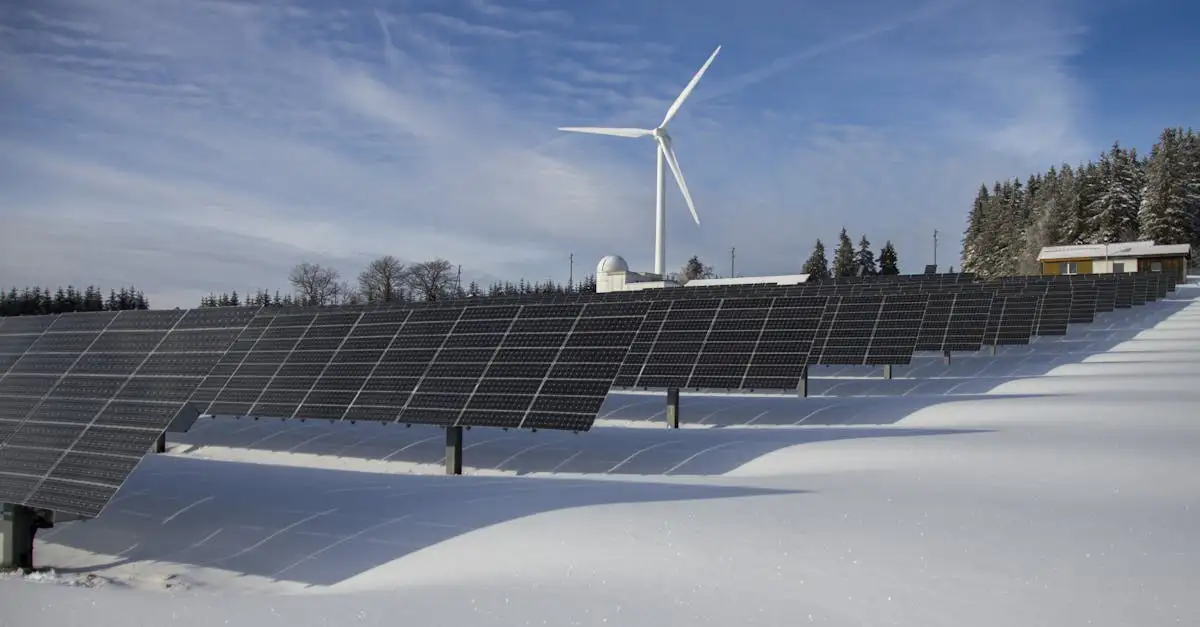 Overheidssubsidie energie: Vind de beste regelingen nu