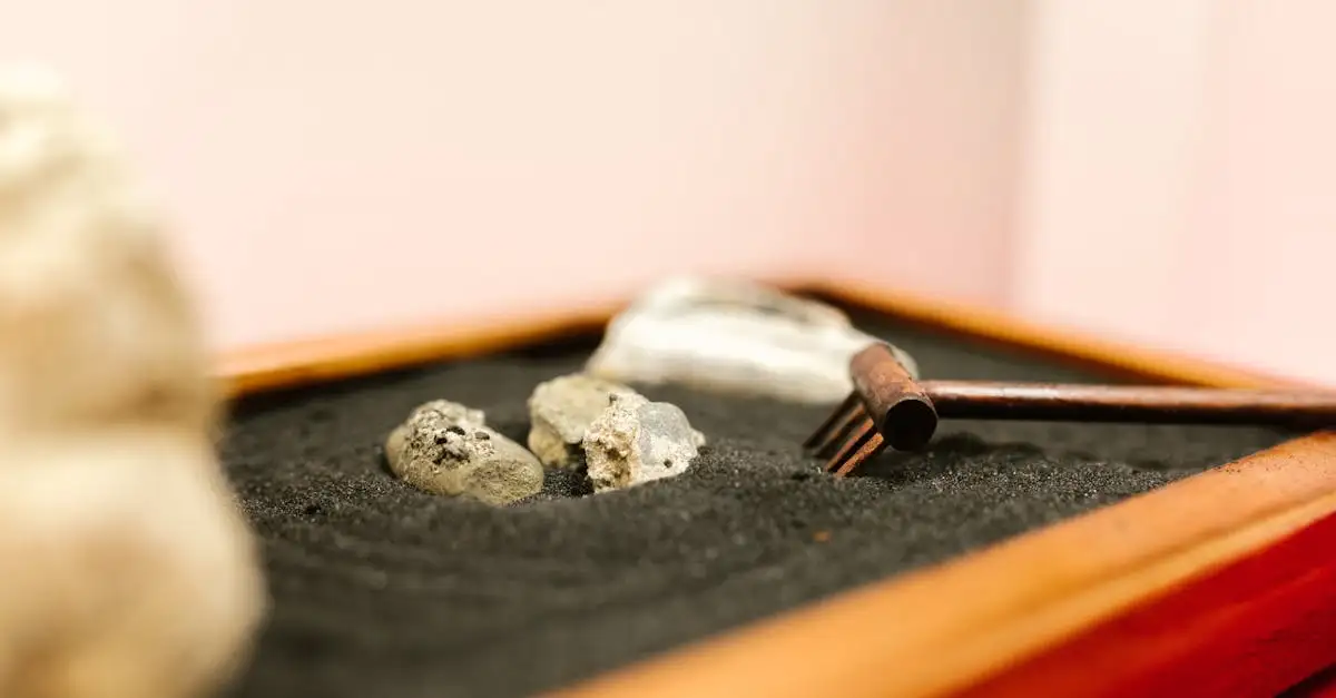 Zen lifestyle: Vind rust en balans in uw dagelijks leven